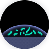 普通光滑材料示意