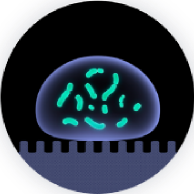 Sharklet 材料示意